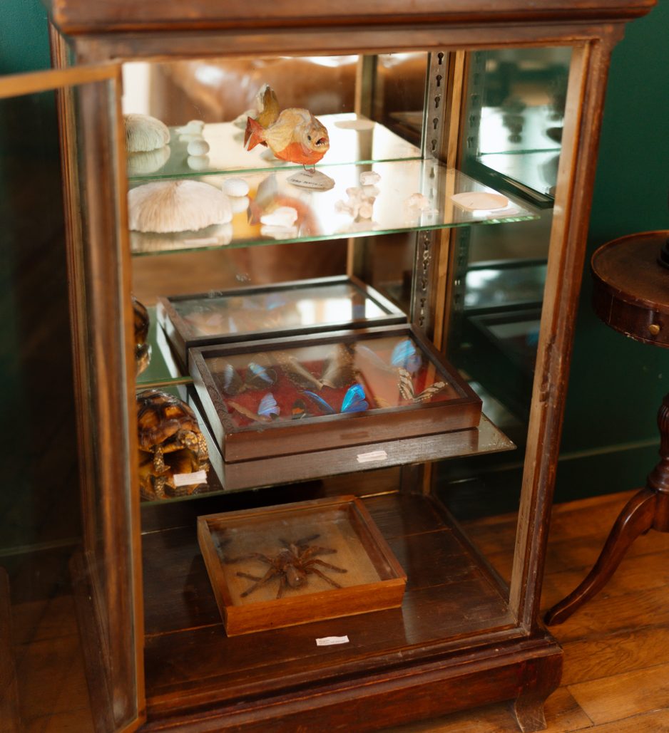 La suite Shelby - Juillet 2026 - Weekly Film Studio-42